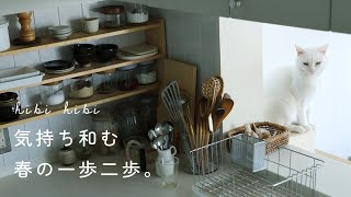 気持ち和む、春の一歩二歩 / 誕生日のケーキ / 春の日本酒会 / 三色団子でお花見