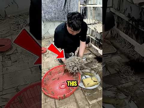 Don’t Even Dare To Care For It‼️😱💀