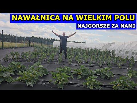 Nawałnica przeszła, ale DALIŚMY RADĘ. Mama je Owoce. Pielęgnacja Warzyw. Kwiatki Iwonki Wielkie Pole
