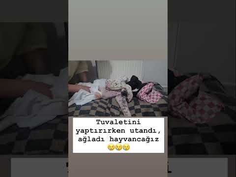 GÖZLERİM DOLDU #hayvanseverler