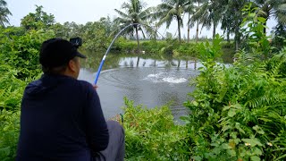 Test Cần Thanh Phong 12H+6h câu lục và đài bạo lực