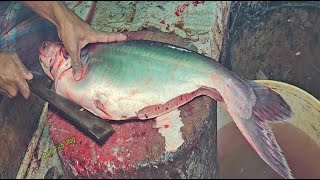 Amazing Giant Fantastic Pangas Fish Cutting || Pangas Fish Cutting Skills Live In Fish Market