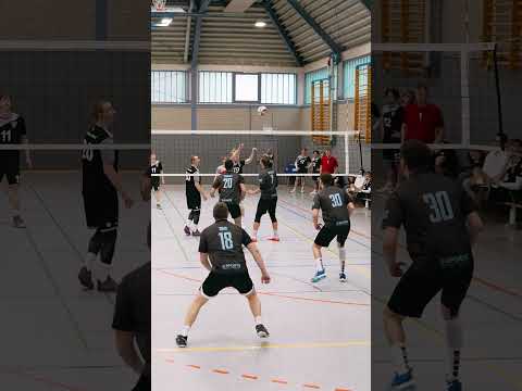Ballwechsel wie aus der Kreisklasse😂😂 #haikyuu #volleyballplayer #volleyball