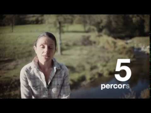 Adventure Park Le Pigne