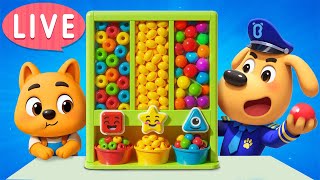 🔴LIVE | Dodo's Chore Challenge | Learn to Help | Good Habits | Sheriff Labrador | Cartoon | BabyBus