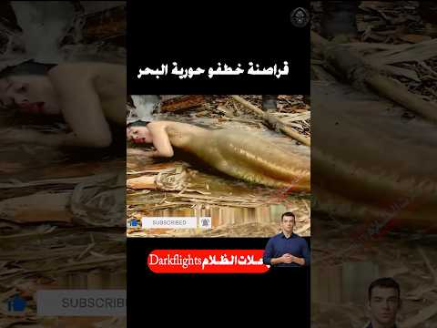 القراصنة يختطفون حورية البحر الجميلة#shorts #قصص_واقعية #افلام #احمد_بيست #قصص #movie #film #viral