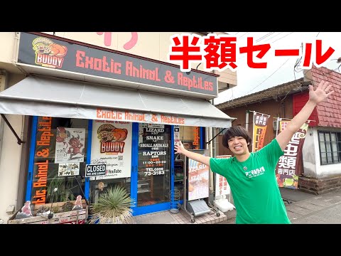 鹿児島の爬虫類ショップが1年ぶりの半額セールを開催するという事でどんな生体がいるのか見に行くと...激レア個体が驚きの金額になってました