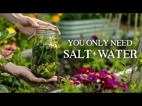 How to Preserve Your Garden Harvests Just Using Salt & Water (Ft. Chef Sam Black)