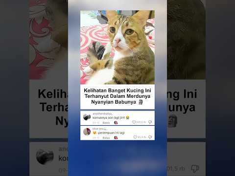 Ekspresinya Gak Bohong 🗿