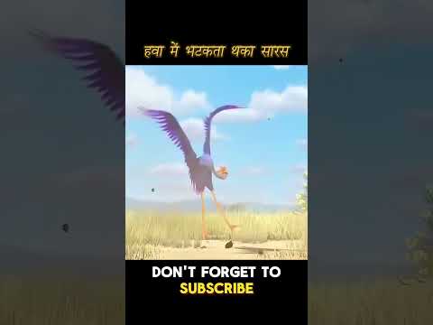 हवा में भटकता थका सारस #shorts