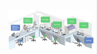 Delphic AP - Designer software for your pathology workflow