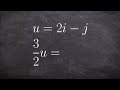Understanding Scalars and Vectors