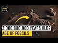 Dating Methods and Fossil Analysis