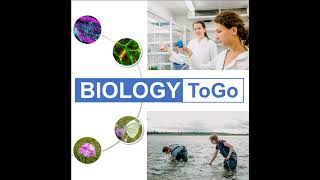 BiologyToGo Folge 04: Im Gespräch mit Alexandra Machnis, sie erforscht die Nahrungsnetze im Watte...