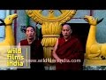 Understanding the Video Transcript