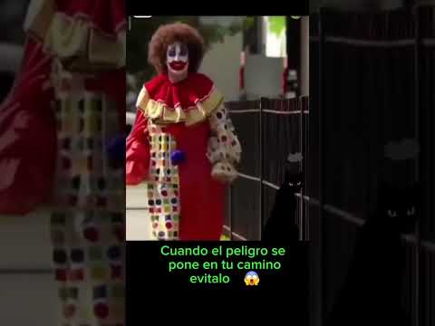 Al tiro con sus miedo, mejor ay que sacarle la vuelta llamando por teléfono 🤣🤣🤣