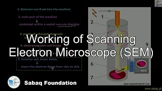 Working of Scanning Electron Microscope (SEM)