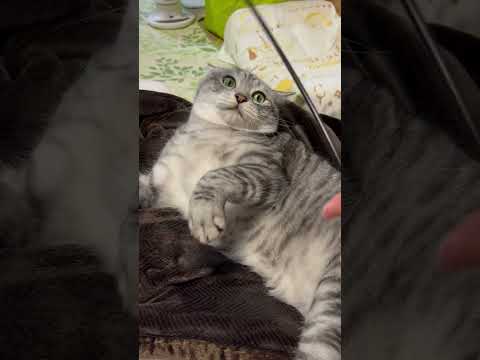 人類を滅ぼすことを決めた瞬間