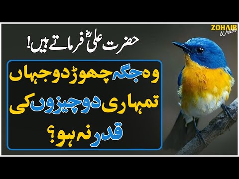 Wo Jagah Choor Do Jahan Tumhari 2 Chezoon Ki Qadar Na Ho | Hazrat Ali R.A Ka Farman | Zohaib Writes