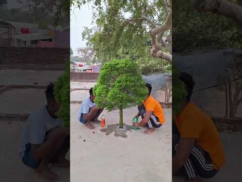 Bam Lahari Bholenath new song video ped paudha ugate hue#youtubeshorts