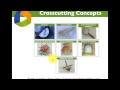 Cross Cutting Concepts in Science Education