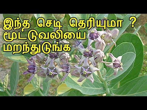 மூட்டு வலிக்காக ஒரு மருந்தும் தேவையில்லை | Knee pain Fast relief Tamil | mootu vali video