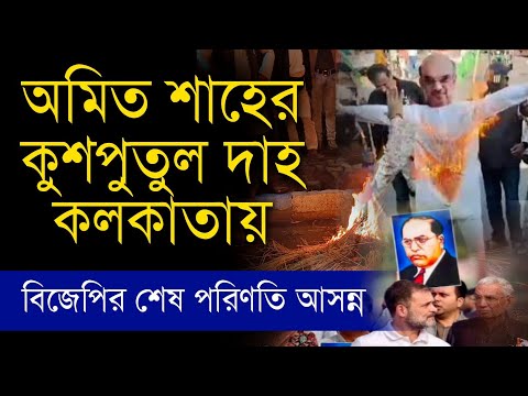 বাবাসাহেব আম্বেদকর কে | অপমান অমিত শাহের | কুশপুতুল দাহ কলকাতায় #ambedkar #amitshah