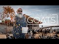 Goat Milk and Cheese Production