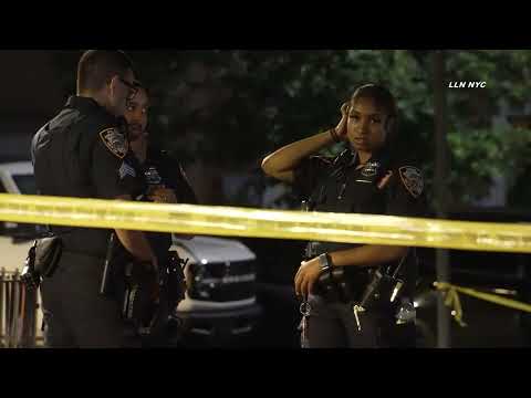 2 People Shot in Brooklyn