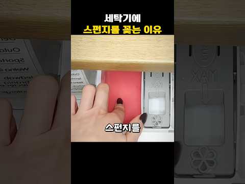 세탁기에 스펀지를 꽂는 이유