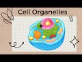 Exploring Eukaryotic Cell Organelles
