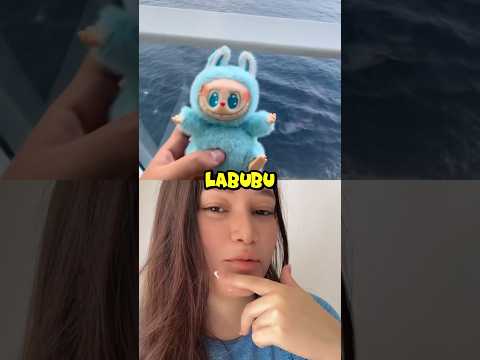 Agora o tubarão tem um labubu #trending