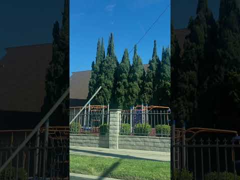 Living fountain school of art