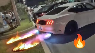 Grandma Grass on FIRE 🔥| Best of Car Fails & Wins Compilation #9