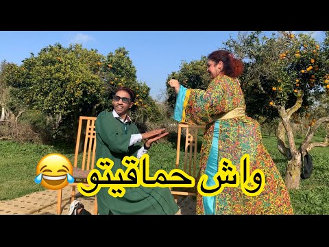 ههههه تقليد الميلودي و  الشيخة الطراكس  واش حماقيتو لهربة 😂