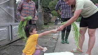 daily life on a small farm harvesting beans for sale