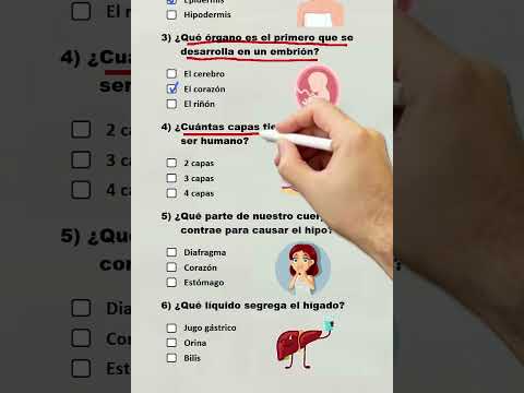 Preguntas de Anatomía