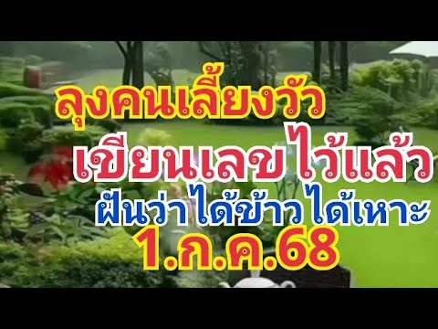 ลุงคนเลี้ยงวัว ฝันดีมากๆมั่นใจ1.ก.ค.68