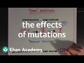 Exploring the Impact of Genetic Mutations