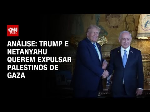 ​Análise: EUA e Israel discutem expulsão de palestinos de Gaza | WW