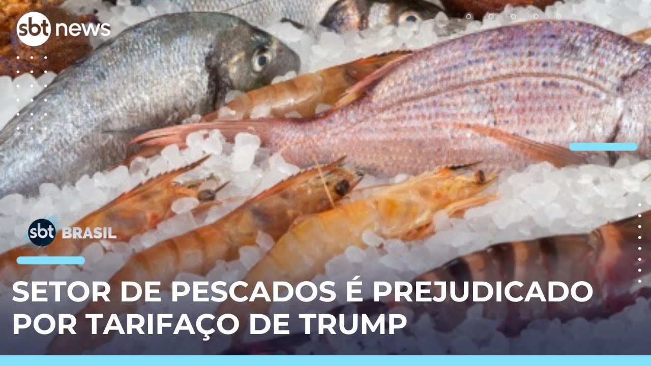 Mais de 500 toneladas de frutos do mar deixam de embarcar para os EUA após taxas | SBTBrasil