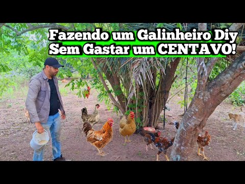 Fazendo um Galinheiro DiY sem Gastar um CENTAVO!🛠🐓🌳 #galinheirodiy #galinheirosustentável #diy