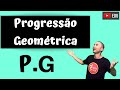 Progressão Geométrica: Conceitos e Cálculos