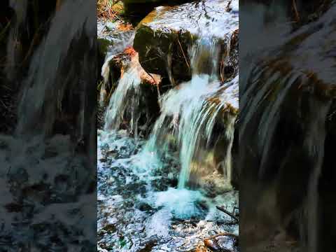 Small waterfalls can be just as exciting as large ones because of their sights and sounds.