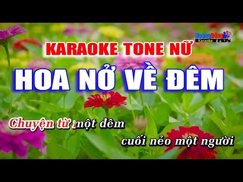 Hoa Nở Về Đêm Karaoke Beat Chuẩn Tone Nữ – Hoàng Dũng Karaoke