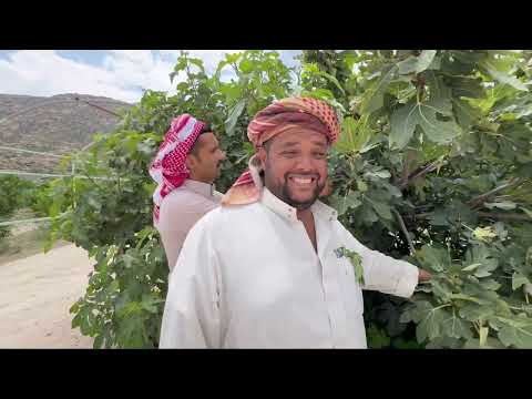 زيارة مسجد الصحابي جرير البجلي وشلال القان والنزل الريفي ومزارع بن سلمان