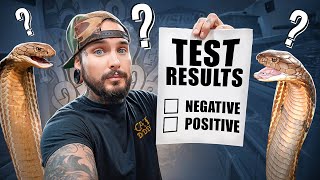 DEADLY Snake Virus TEST RESULTS!