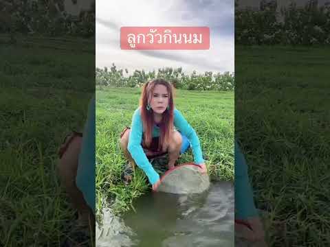 একটু খুশির সংবাদ #fishing #fishfood #stitchtricks #diynstitch #petfood