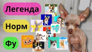 Оцениваем ПОПУЛЯРНЫХ блогеров с Руби