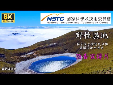 自然台灣-野性濕地 台灣 Natural Taiwan- wild wetland Taiwan - YouTube(4:16)